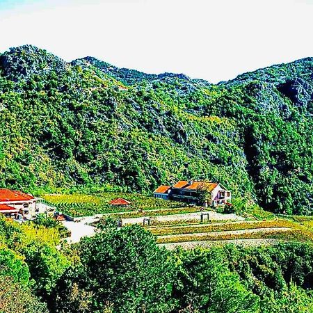 Eco Winery Lipovac Apartments Cetinje Ngoại thất bức ảnh