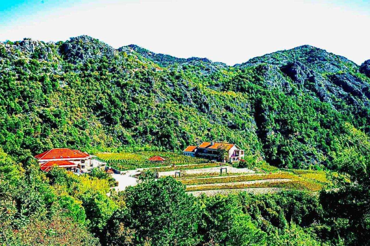 Eco Winery Lipovac Apartments Cetinje Ngoại thất bức ảnh